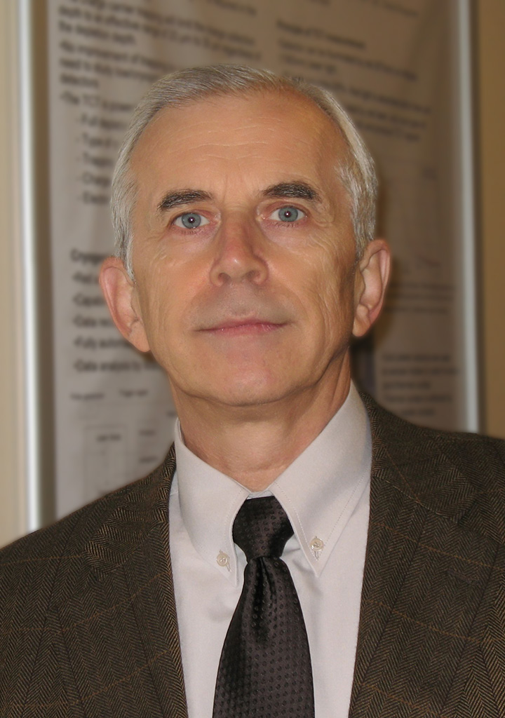 Ivan Kassamakov, Docent, Dr. : Senior Scientist